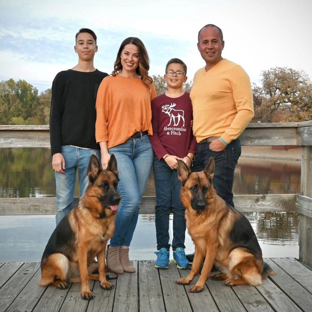 German Shepherds