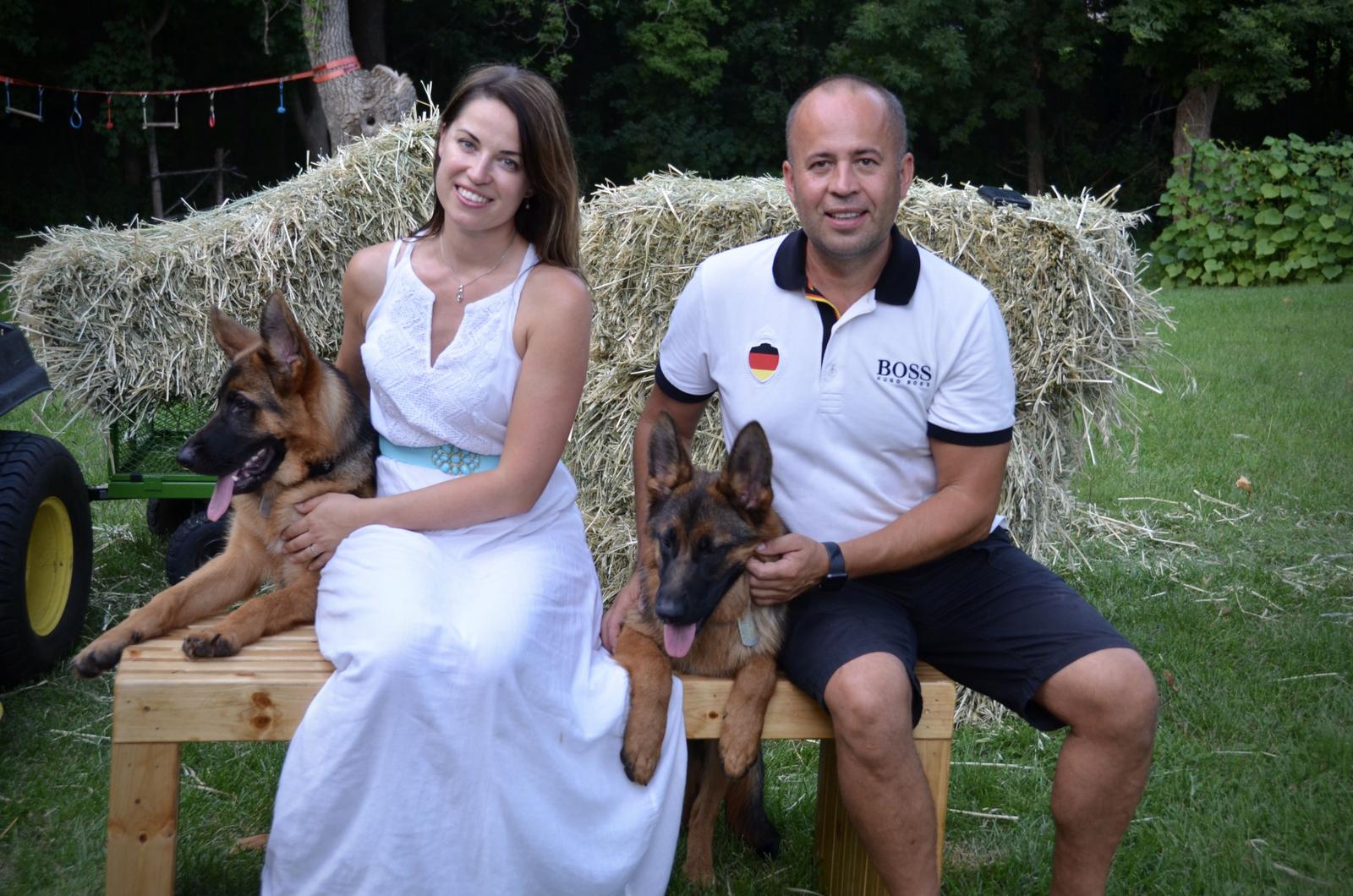 German Shepherd breeder in Maple Grove